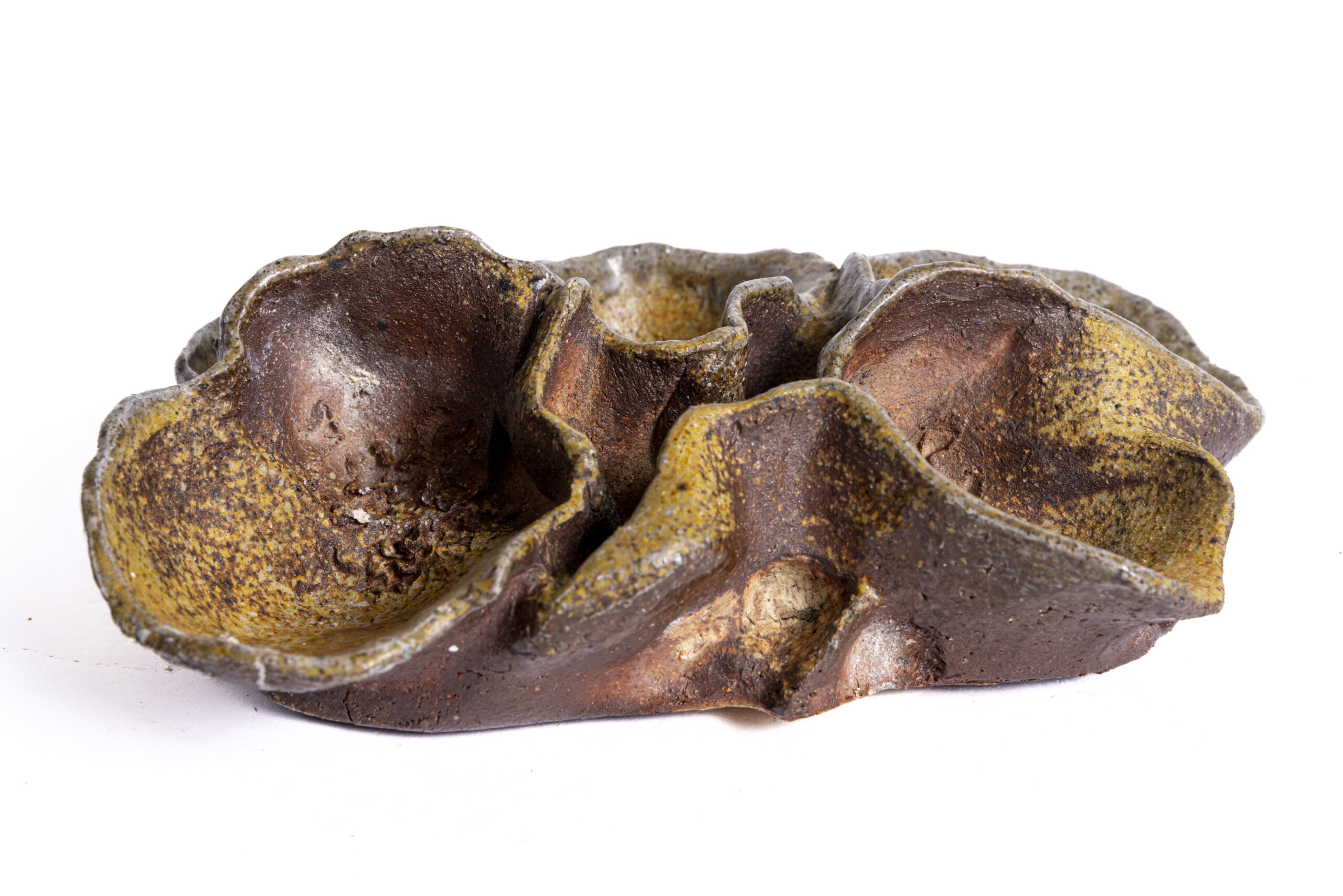 Indrani Singh Cassime, Fleur IV - Image 2