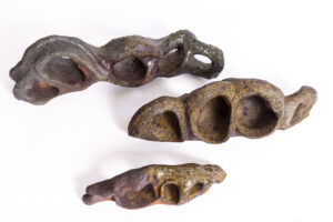 Indrani Singh Cassime, Caves