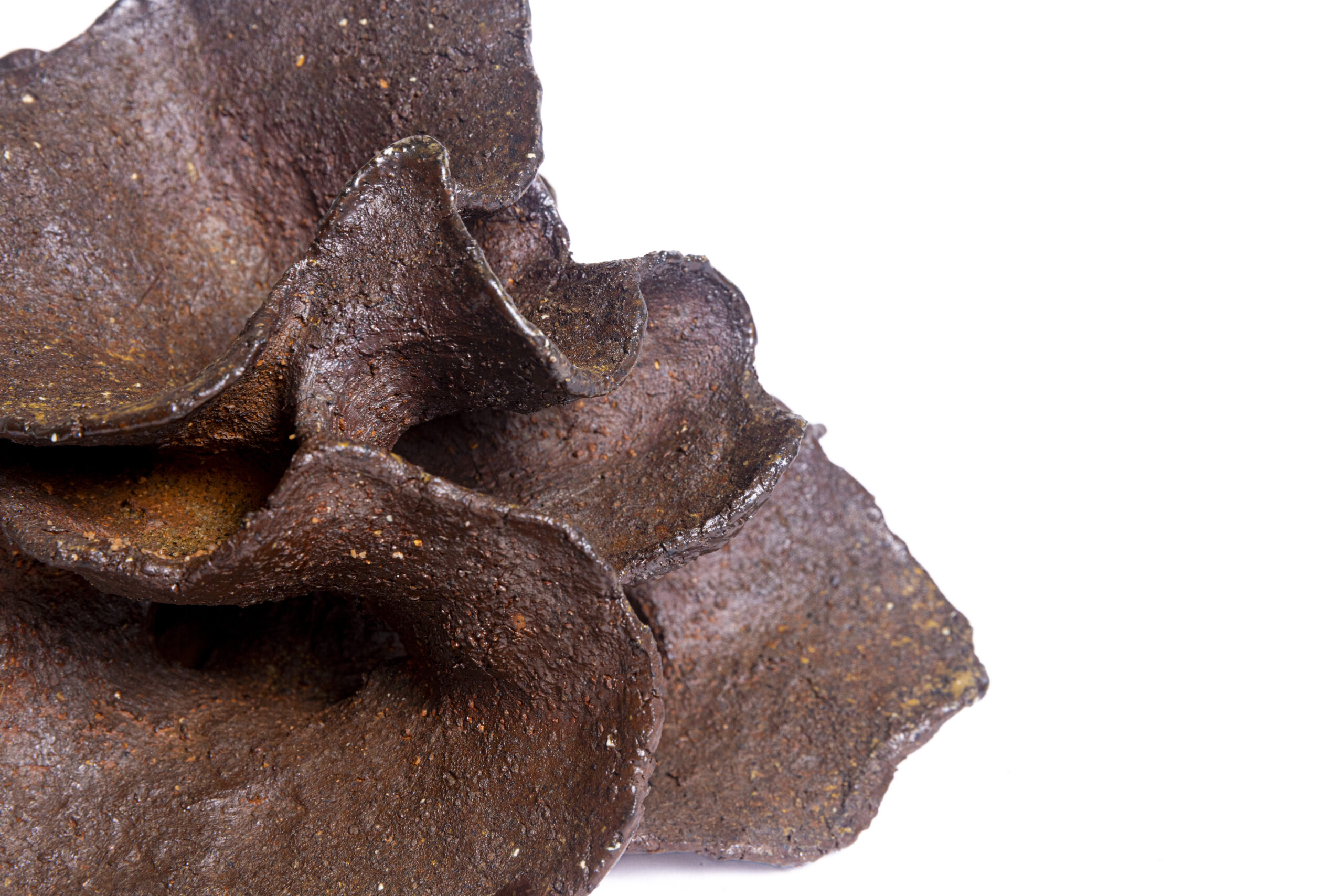 Indrani Singh Cassime, Fleur I - Image 5