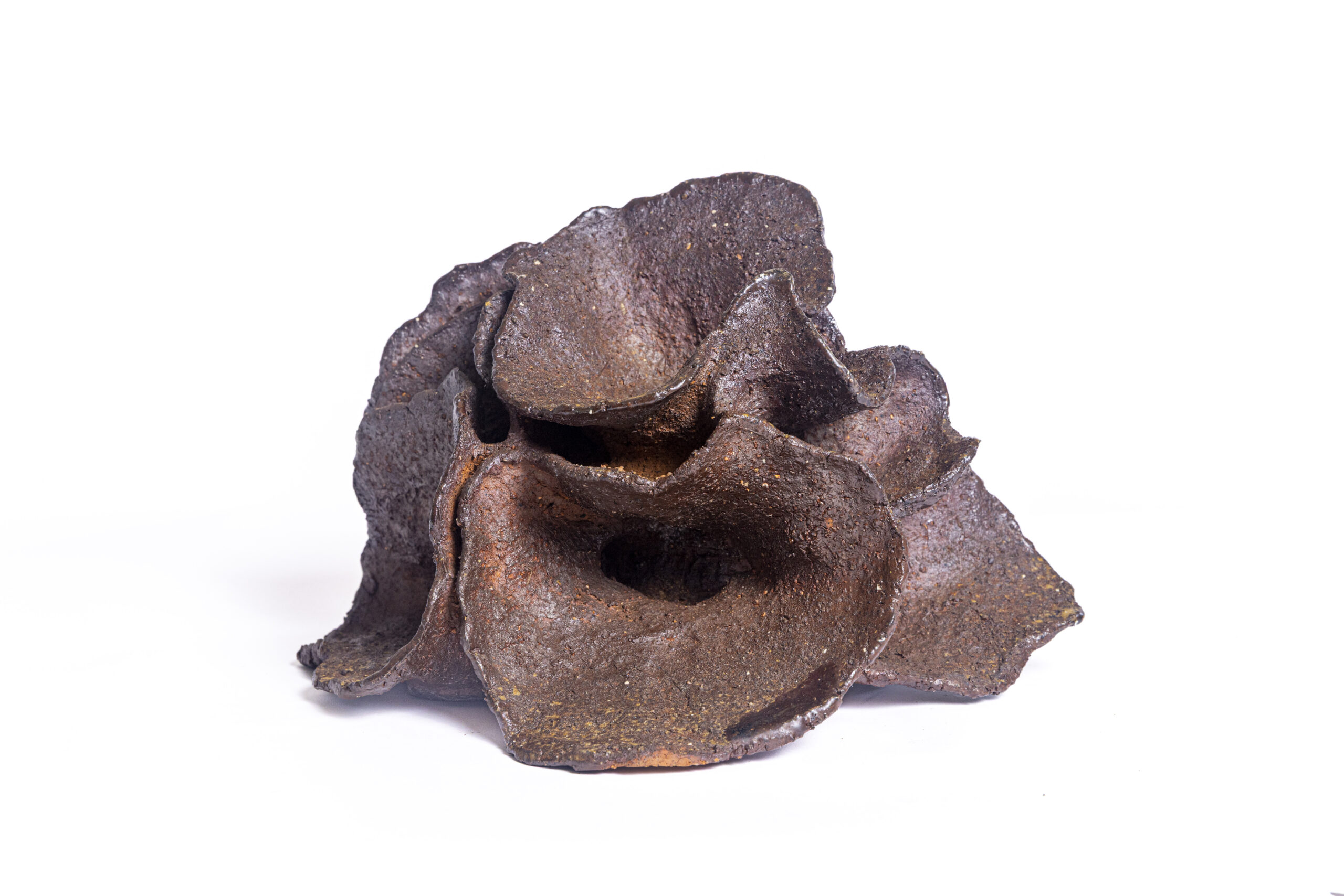 Indrani Singh Cassime, Fleur I - Image 3