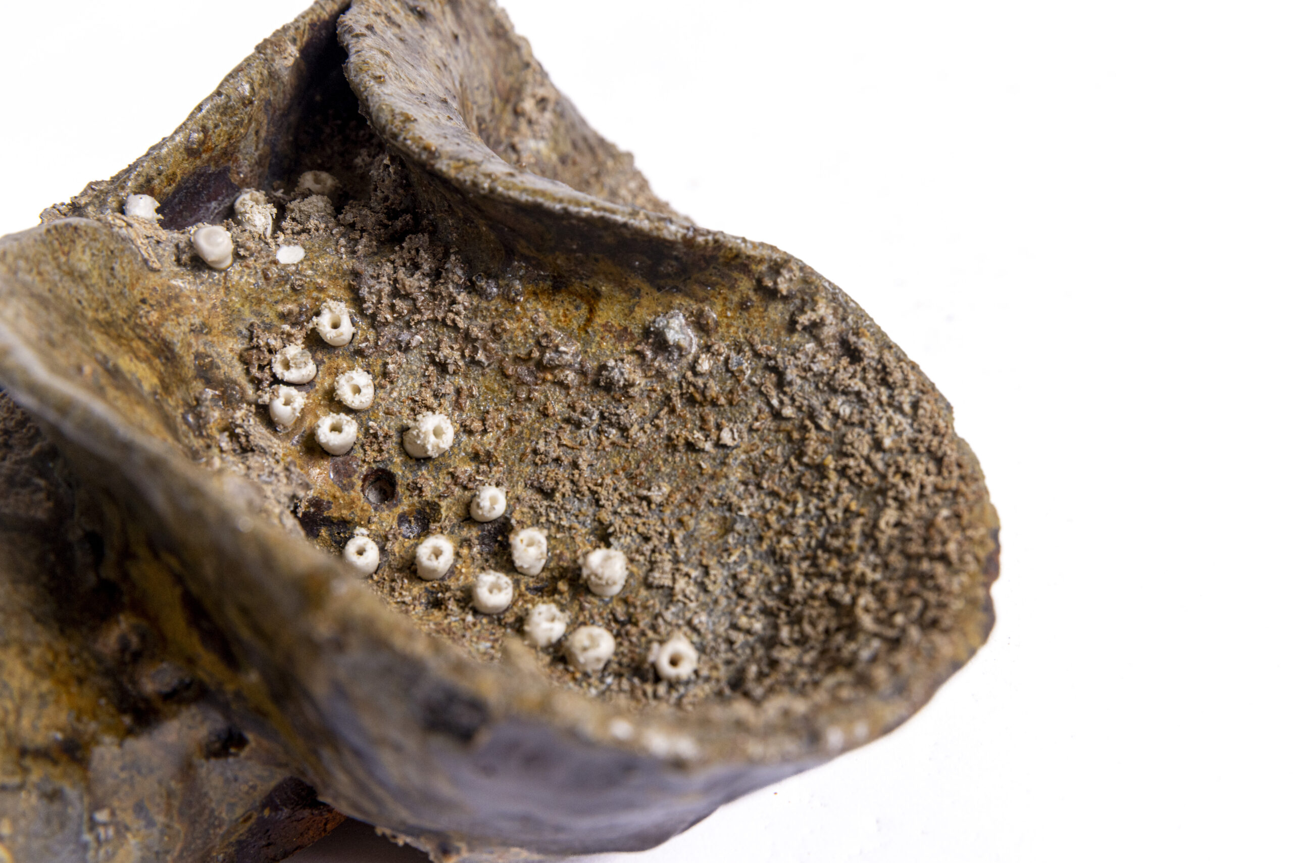 Indrani Singh Cassime, Fleur III - Image 4