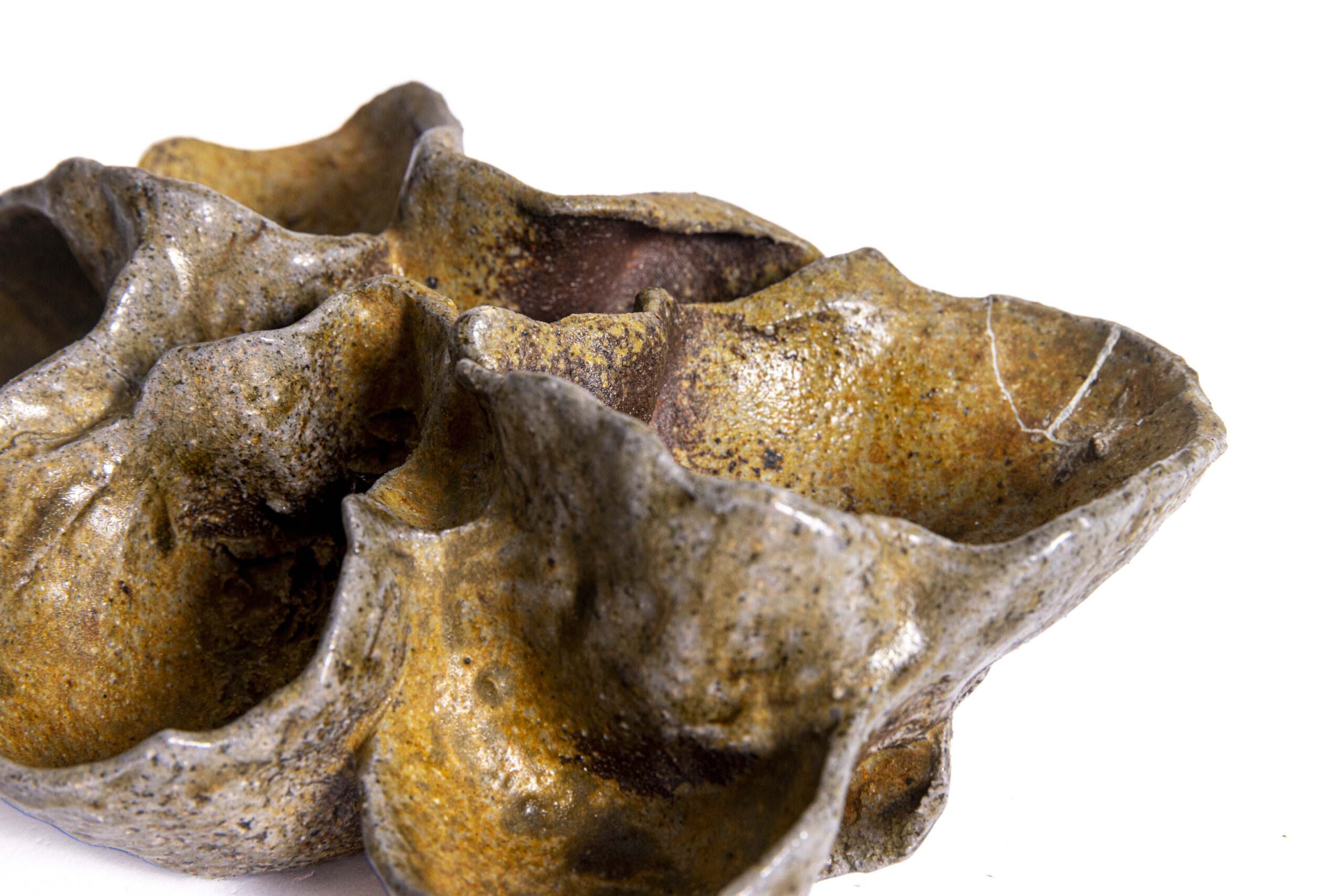 Indrani Singh Cassime, Fleur IV - Image 4