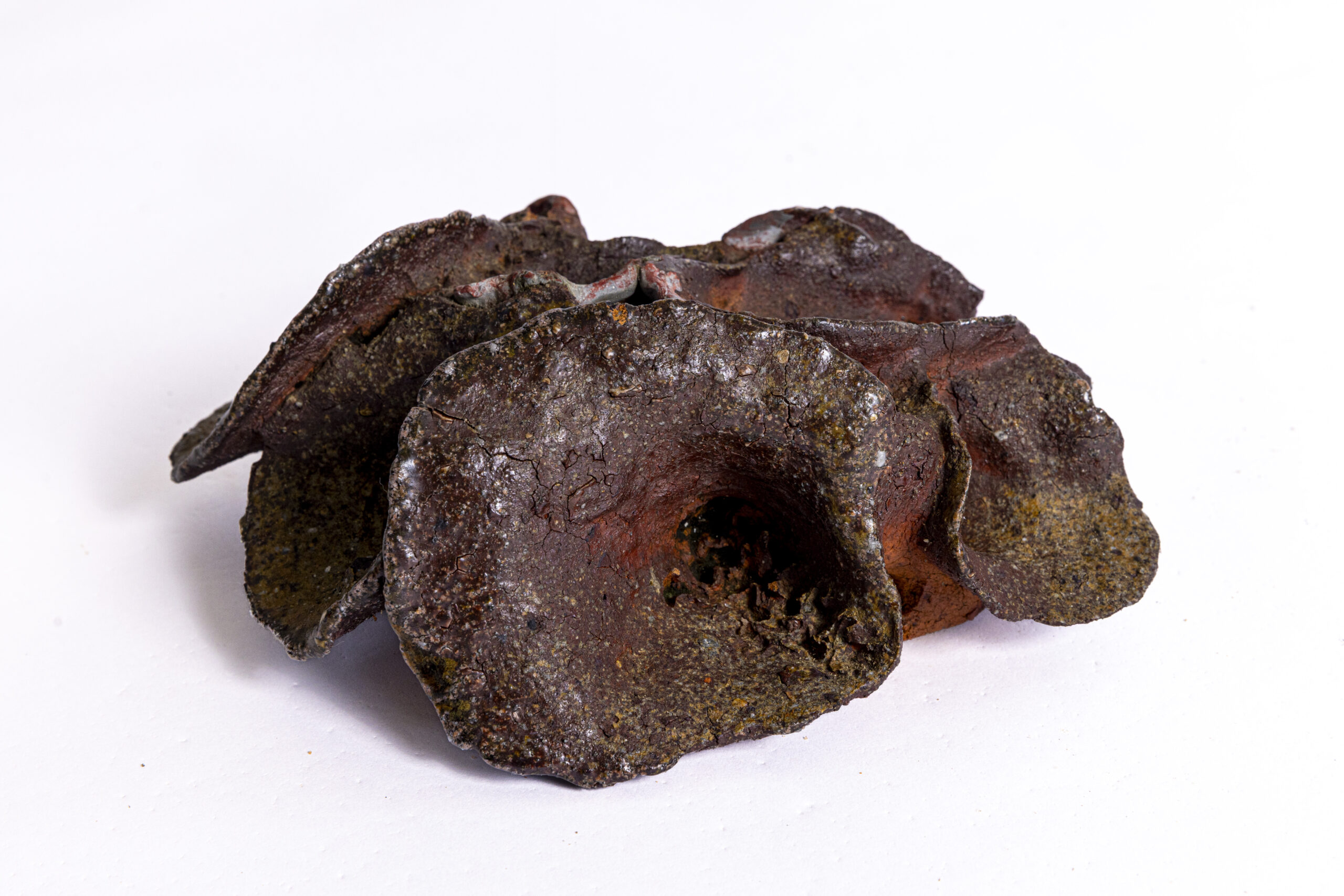 Indrani Singh Cassime, Fleur V - Image 4