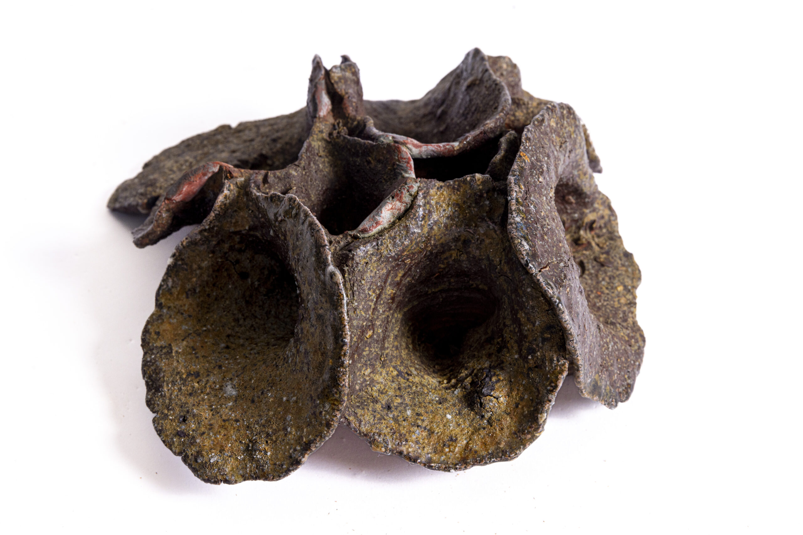 Indrani Singh Cassime, Fleur V