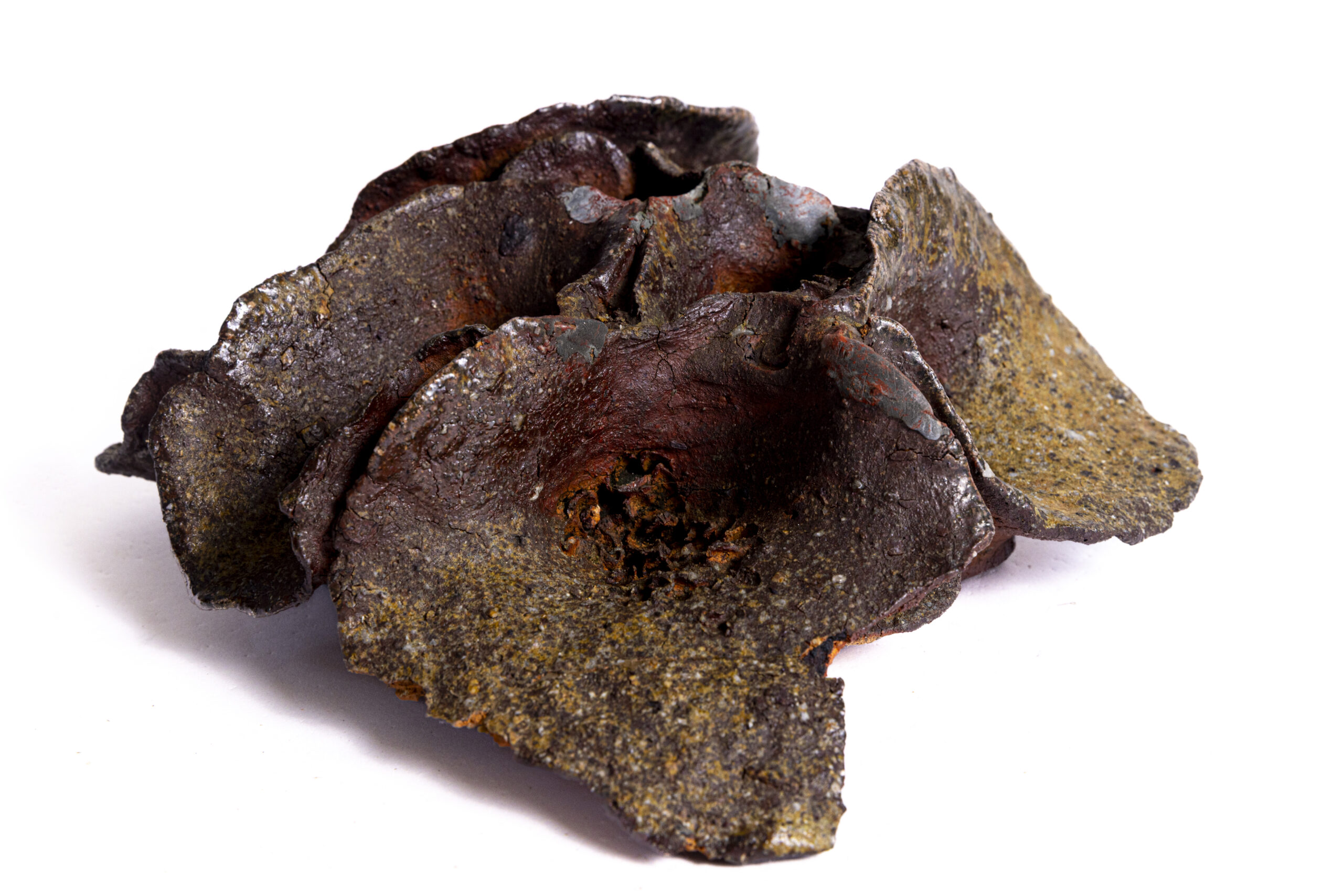 Indrani Singh Cassime, Fleur V - Image 2