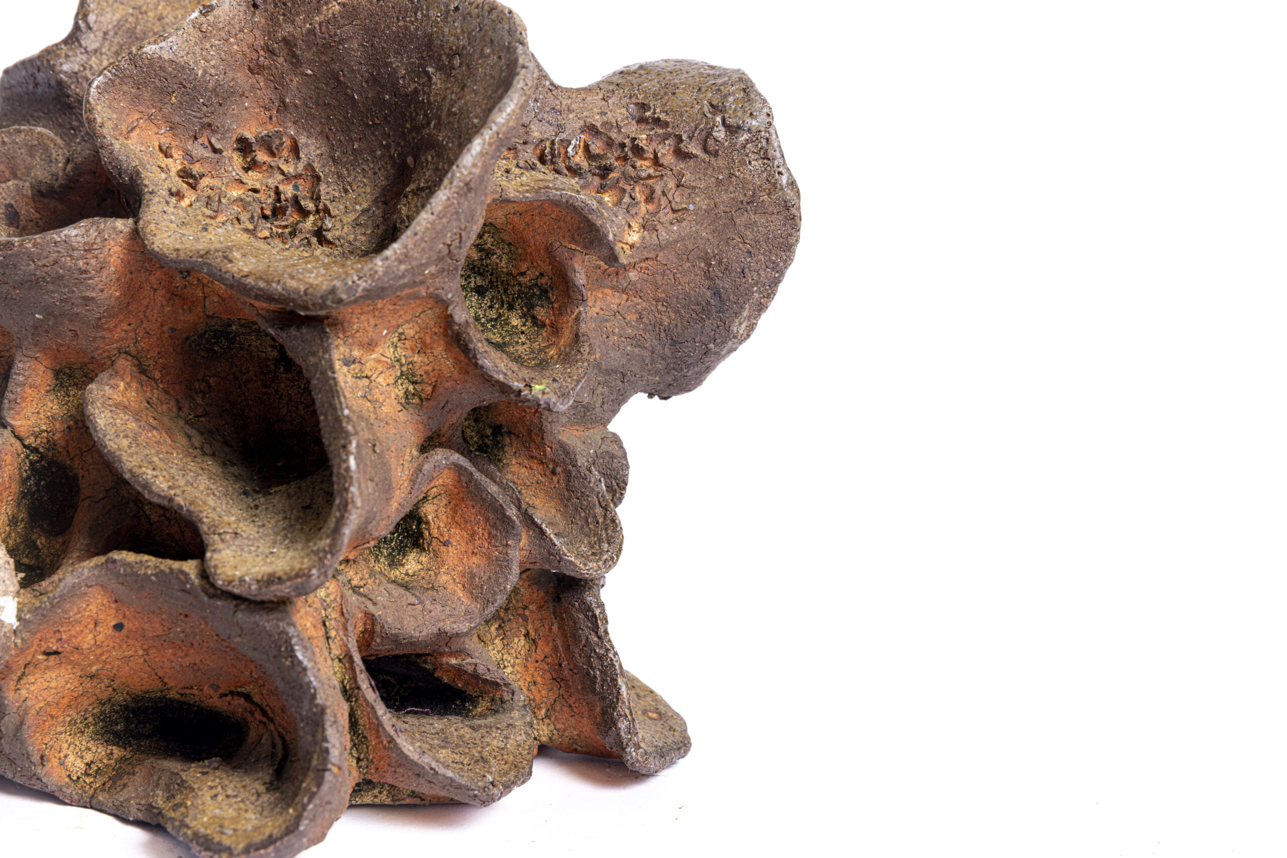 Indrani Singh Cassime, Fleur IX - Image 4