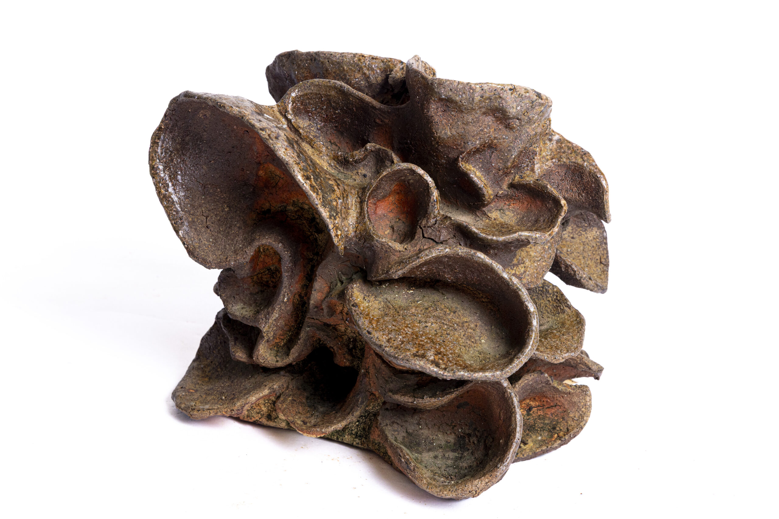 Indrani Singh Cassime, Fleur IX - Image 3