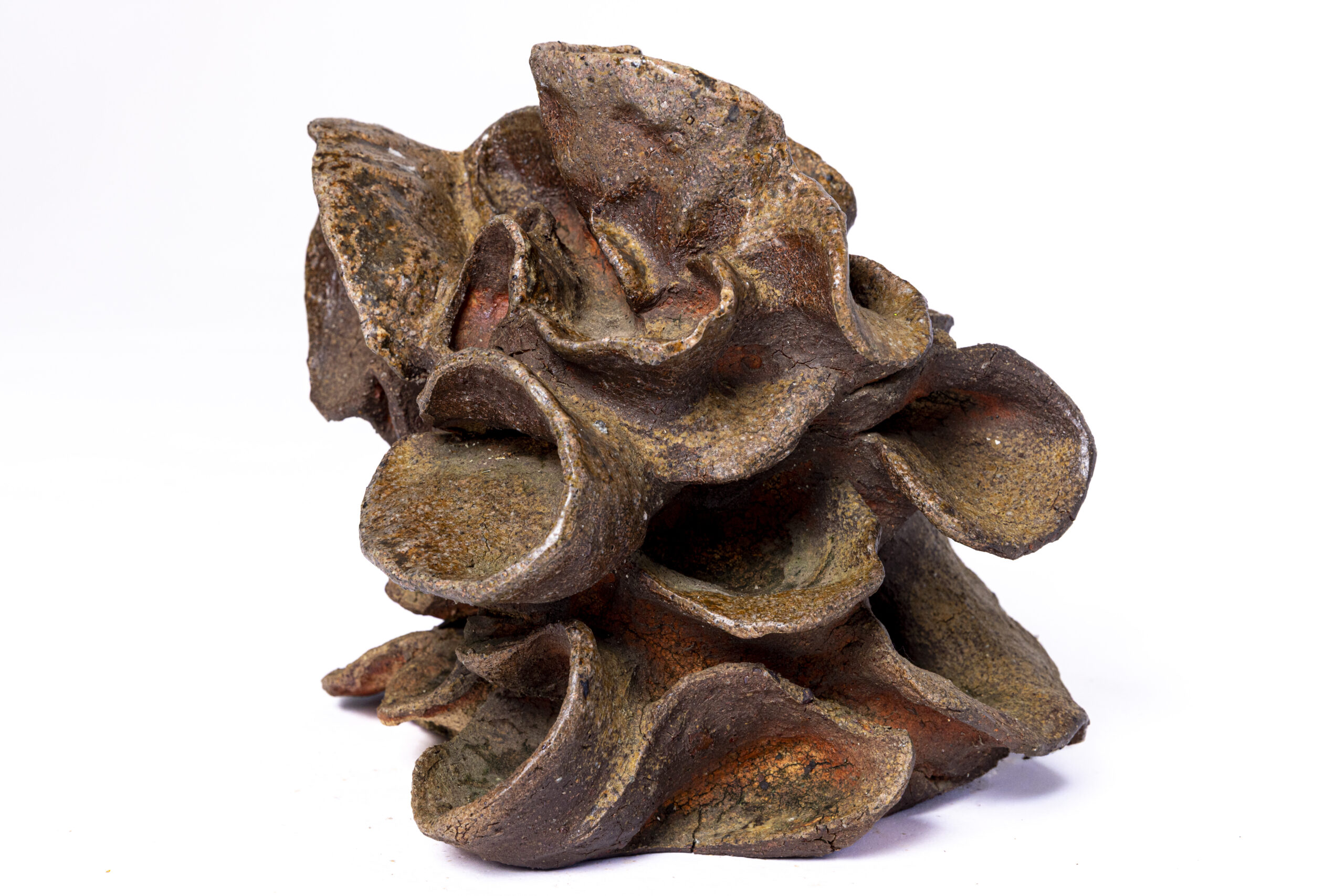 Indrani Singh Cassime, Fleur IX - Image 2