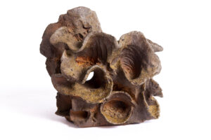 Indrani Singh Cassime, Fleur X