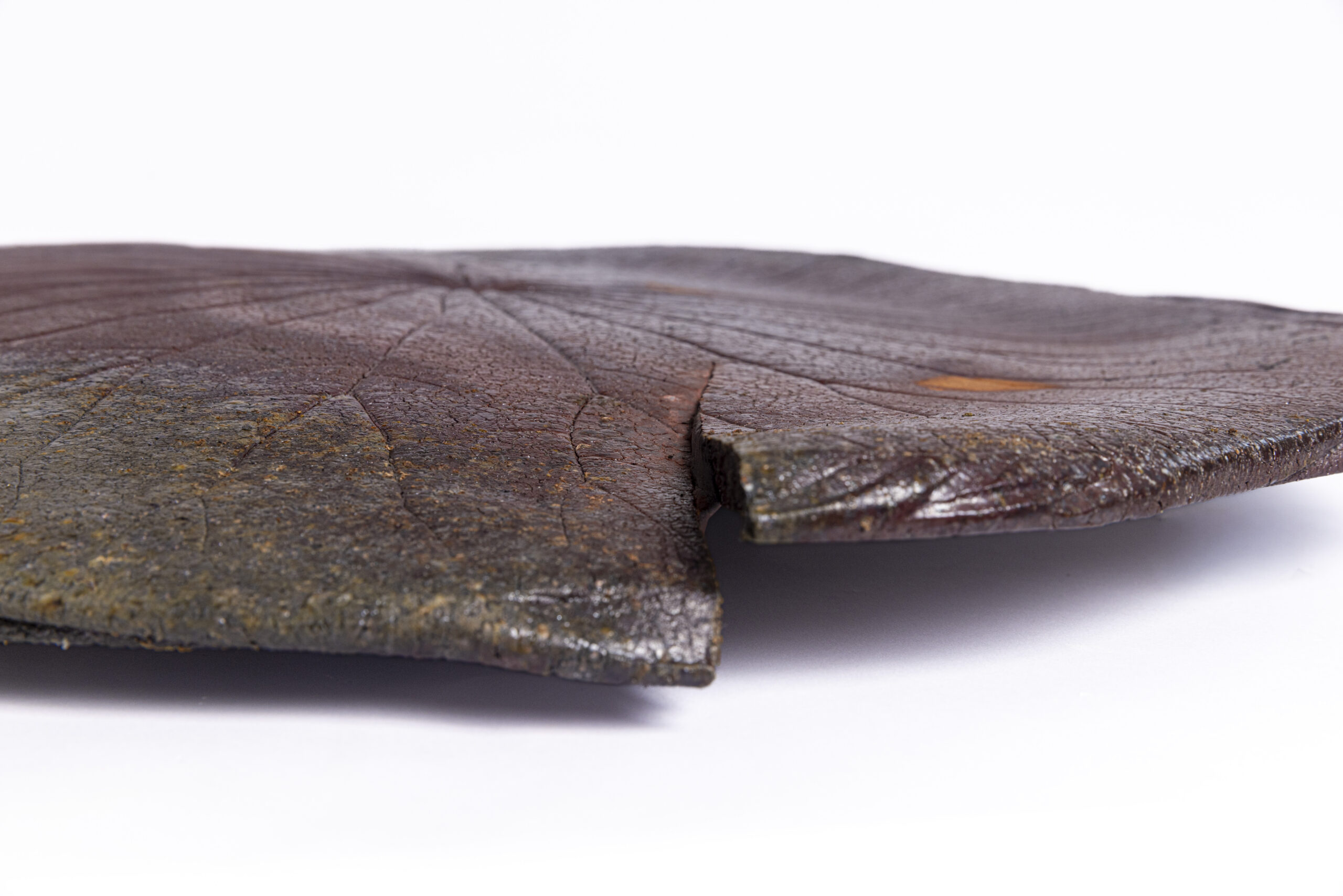 Indrani Singh Cassime, Lotus Fossil - Image 6