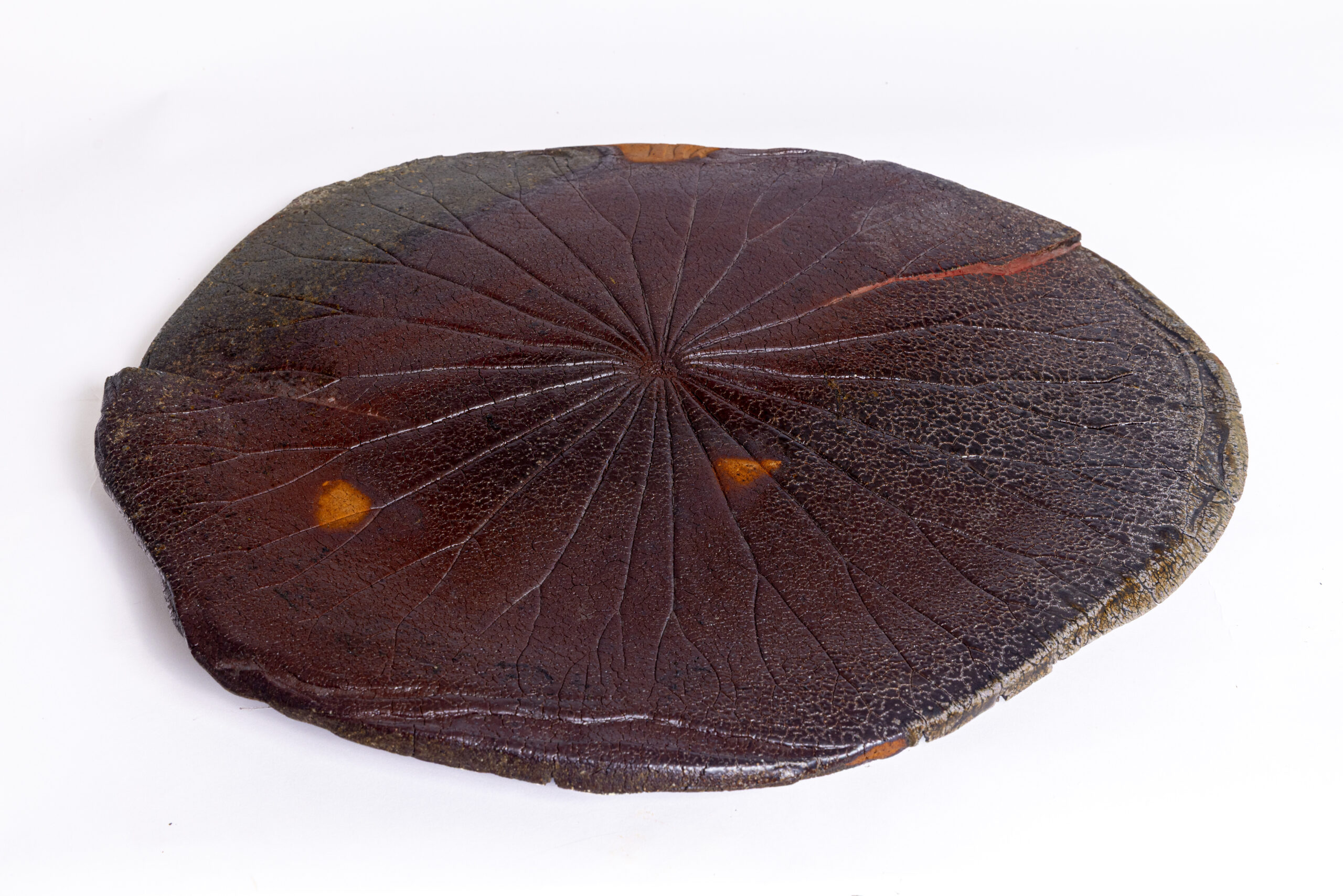 Indrani Singh Cassime, Lotus Fossil - Image 3