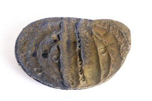 Indrani Singh Cassime, Tibos Series, Still Tracking Tibos I