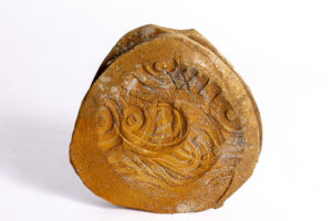 Indrani Singh Cassime, Vase Soda