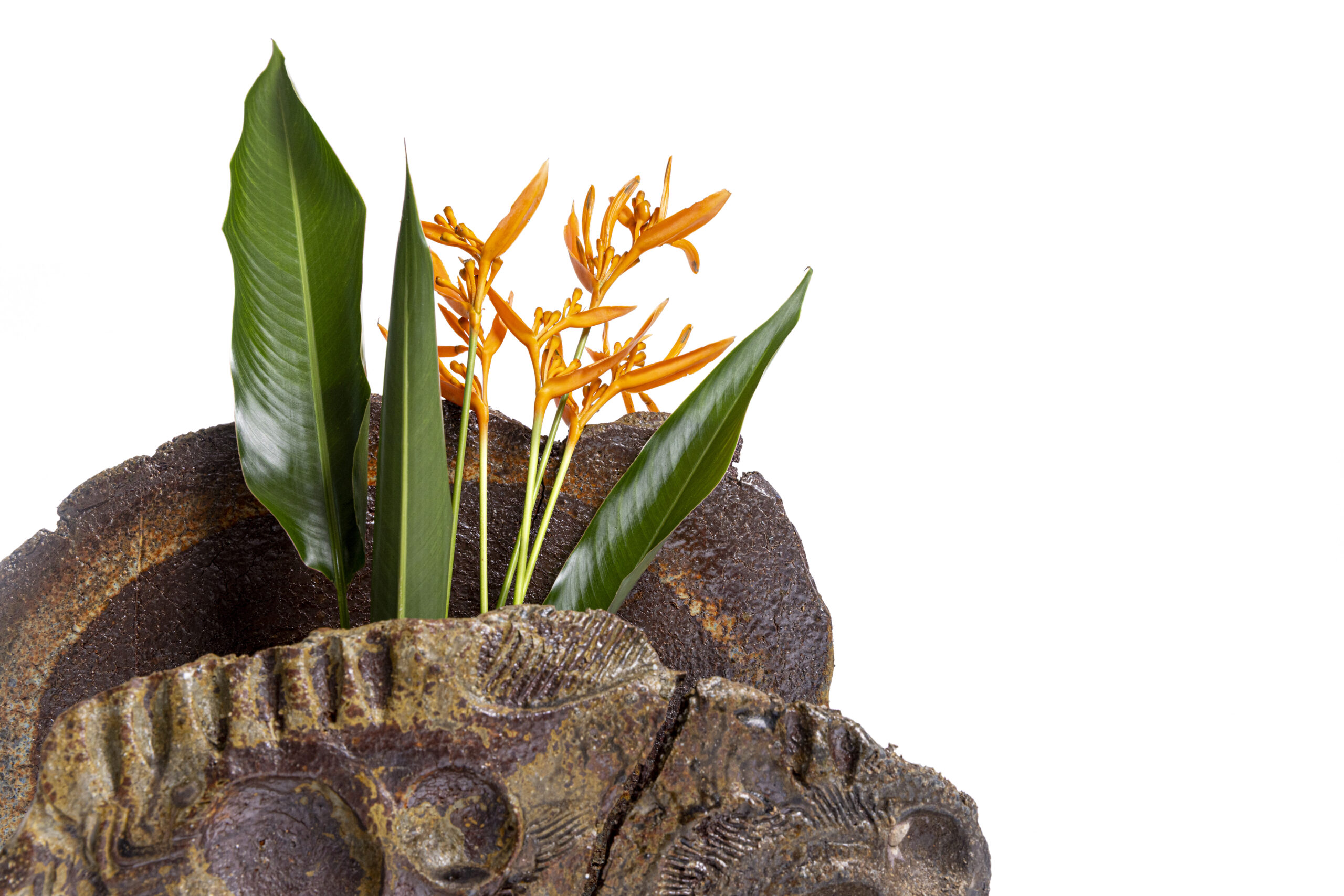 Indrani Singh Cassime, Memory Vessel VIII - Image 4