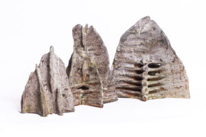 Indrani Singh Cassime, Expansion I