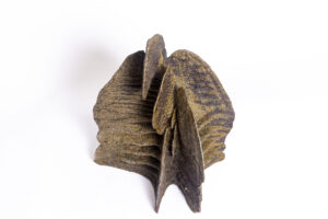 Indrani Singh Cassime, Expansion IV