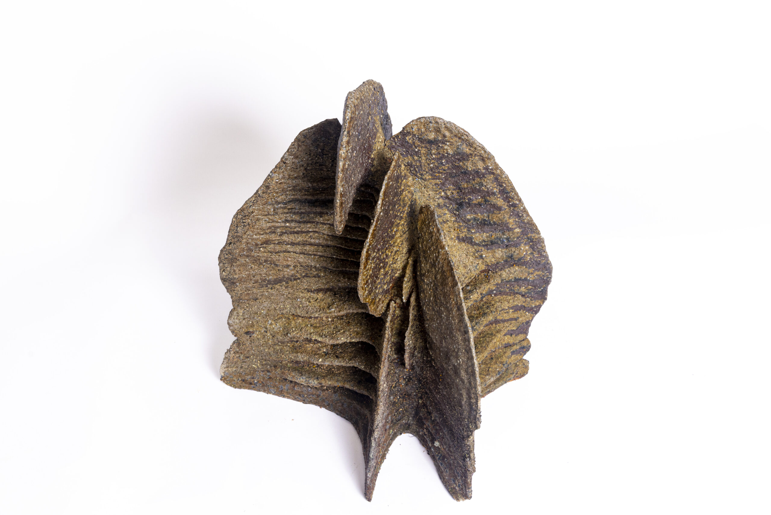 Indrani Singh Cassime, Expansion IV