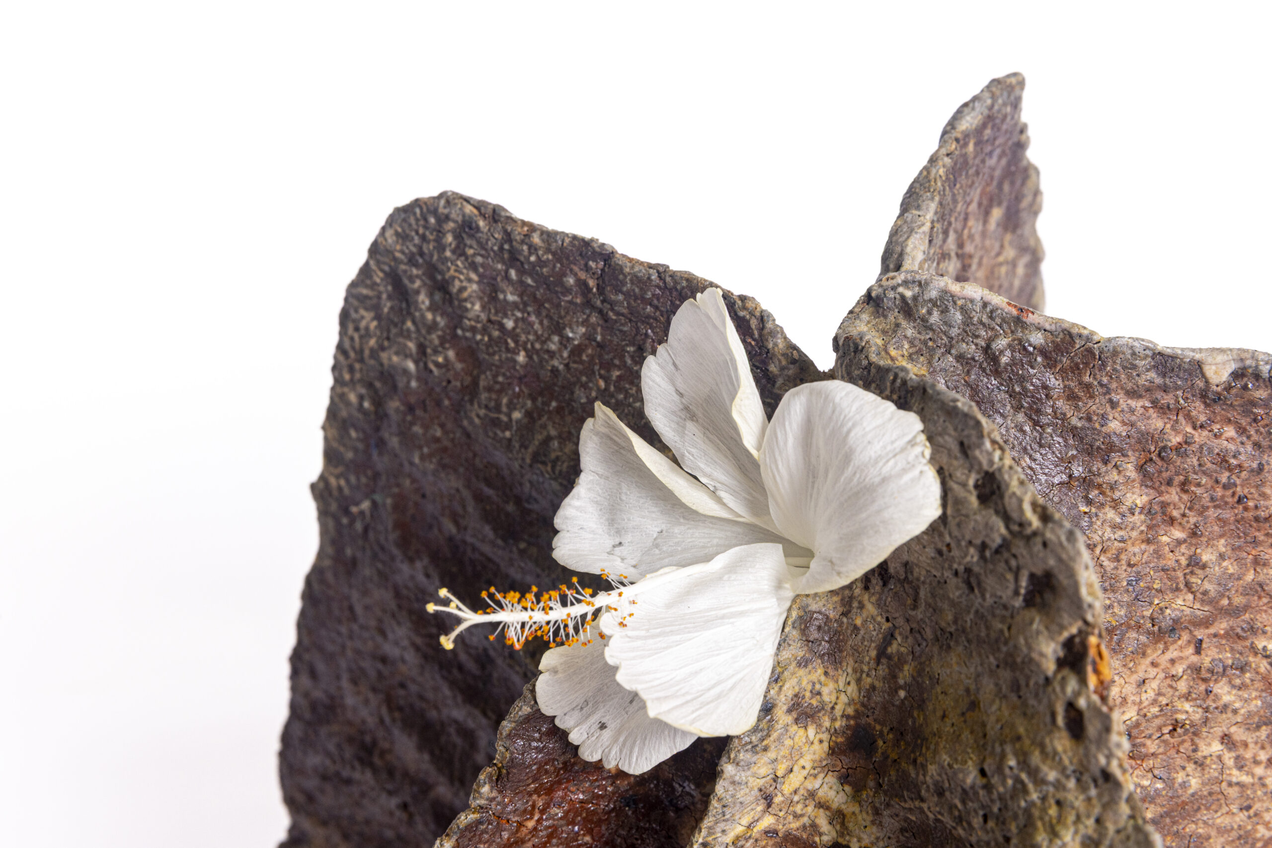 Indrani Singh Cassime, Expansion V - Image 6