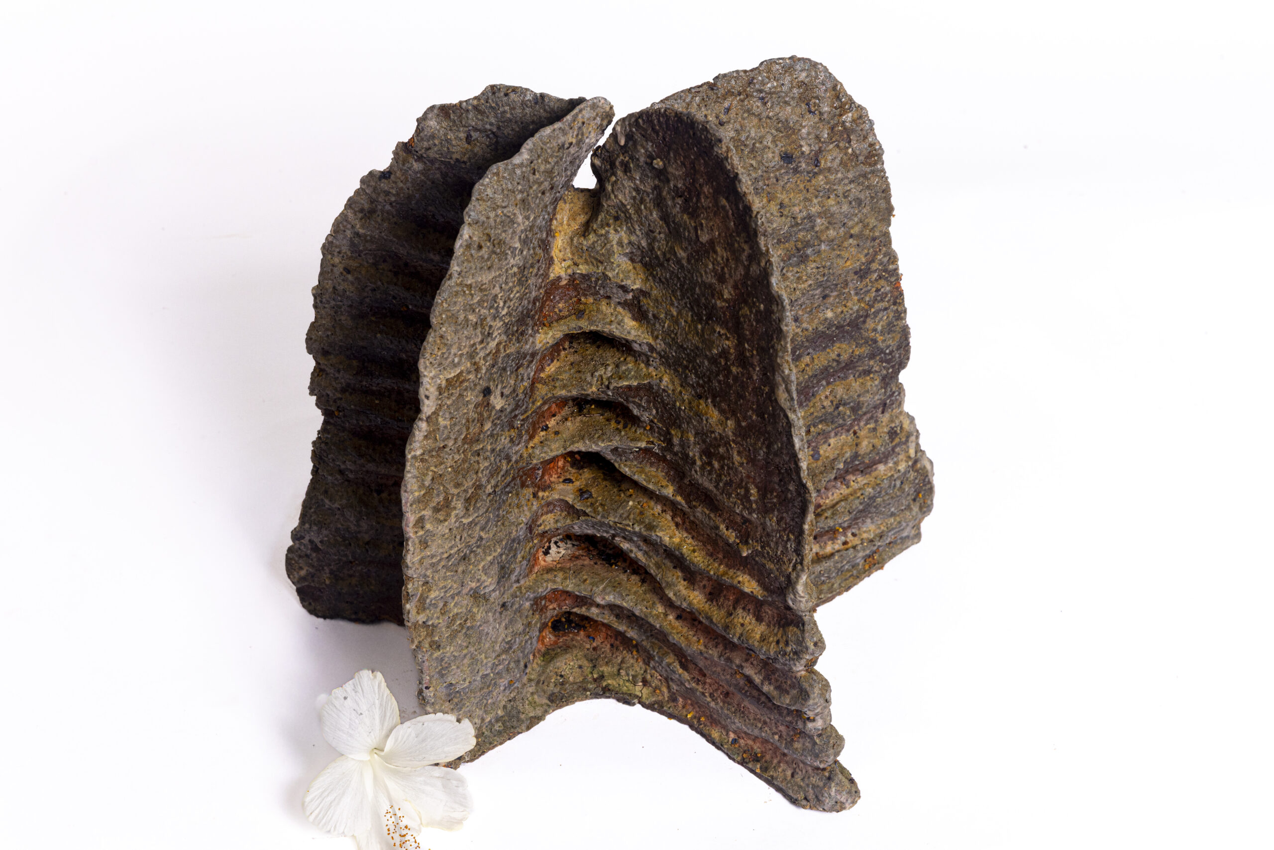 Indrani Singh Cassime, Expansion V - Image 2