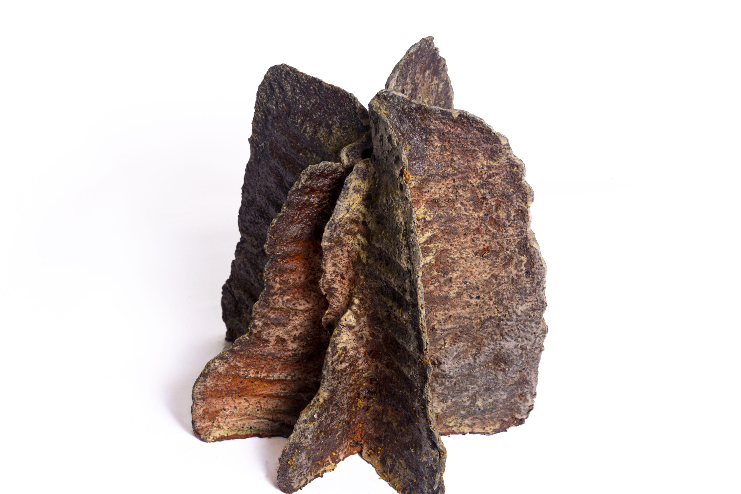 Indrani Singh Cassime, Expansion V