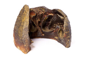 Indrani Singh Cassime, Native Series, Coral Business