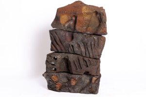 Indrani Singh Cassime, Native Series, Going Up