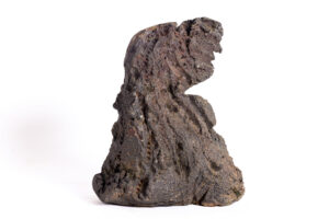 Indrani Singh Cassime, Native Series, Bird I