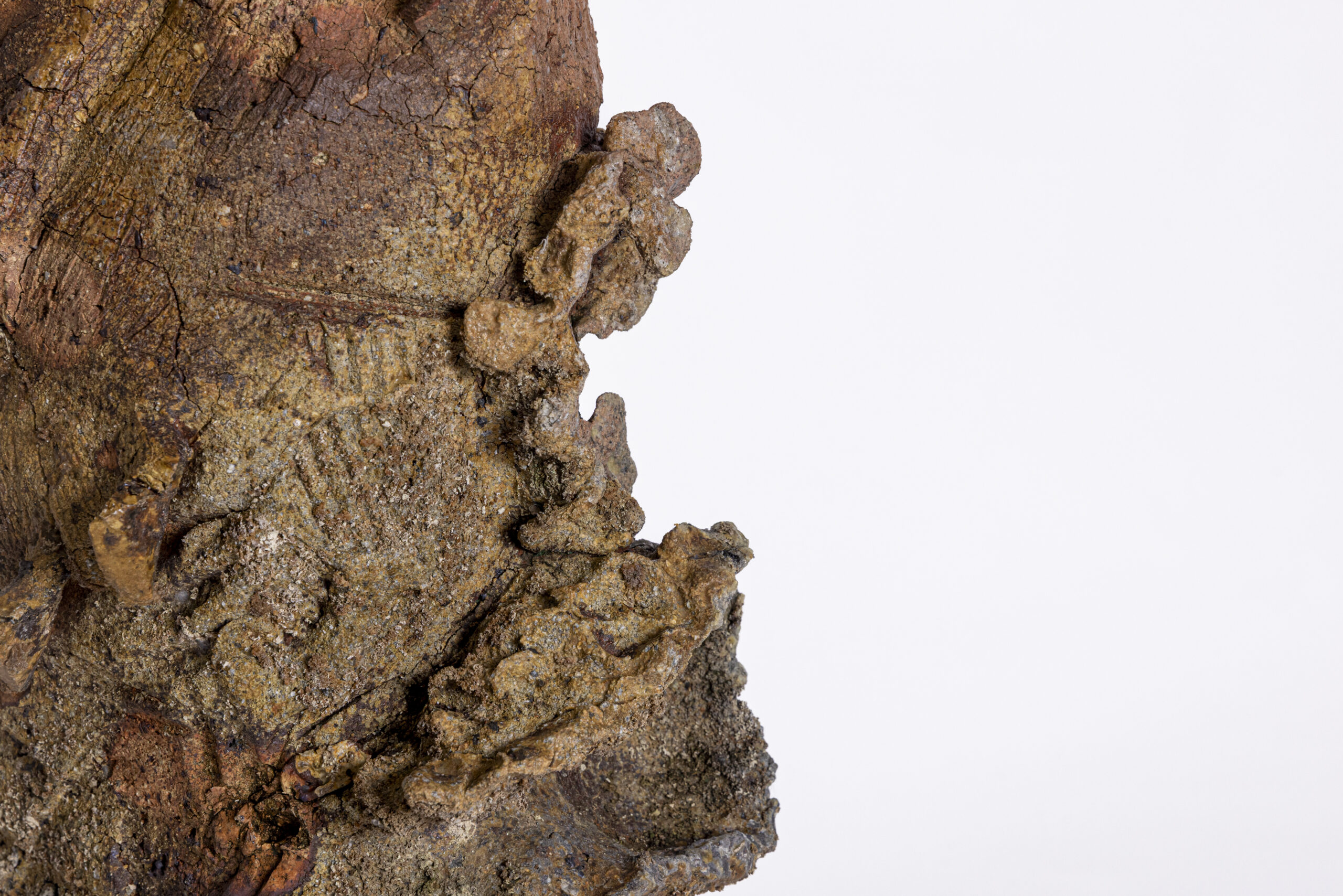 Indrani Singh Cassime, Native Series, Tree Trunk - Image 3