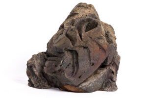 Indrani Singh Cassime, Native Series, Bird II