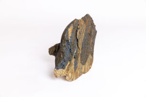 Indrani Singh Cassime, Two Peaks I