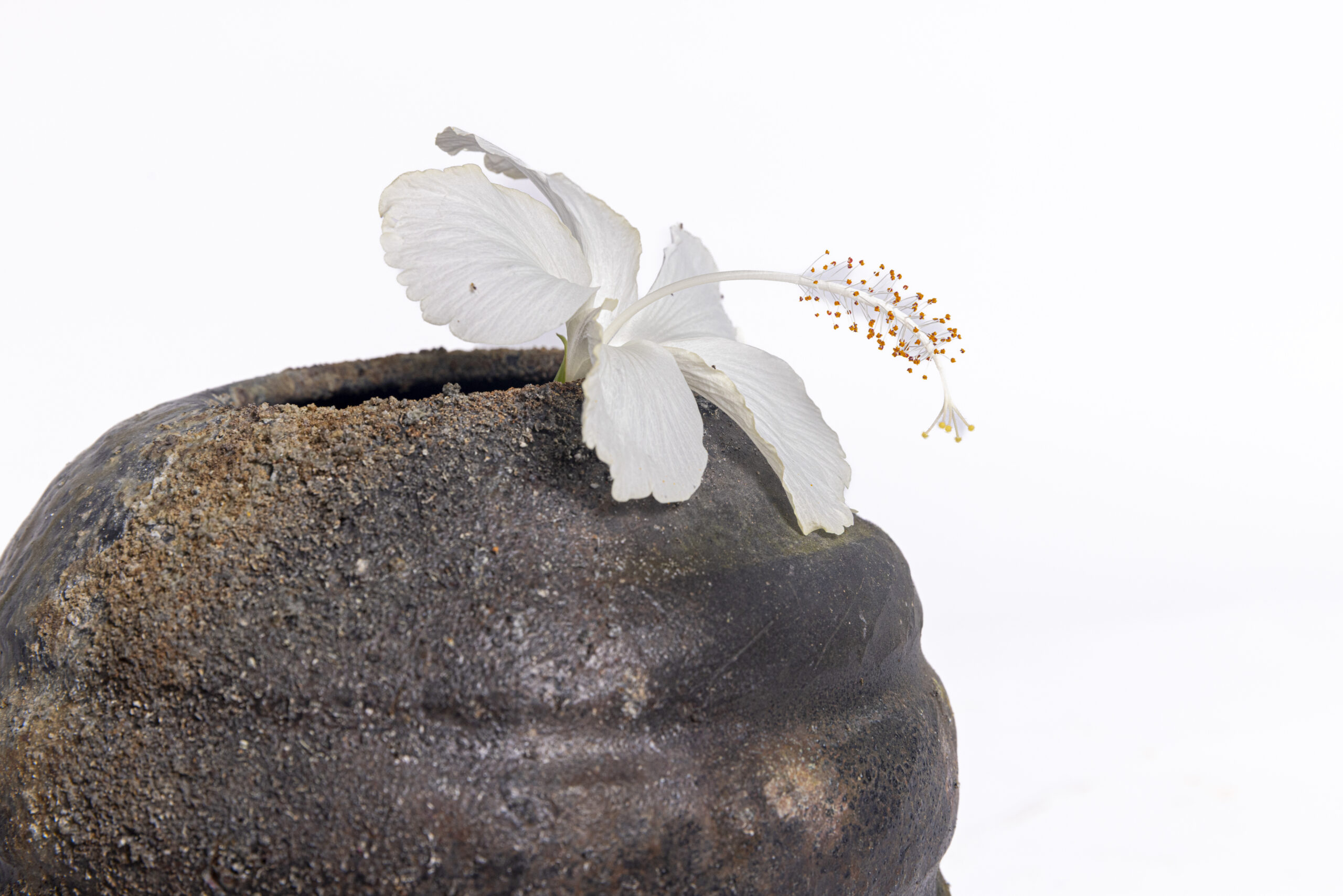 Indrani Singh Cassime, Vase Axis IV - Image 6