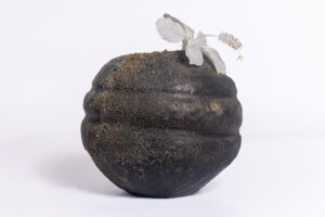 Indrani Singh Cassime, Vase Axis IV