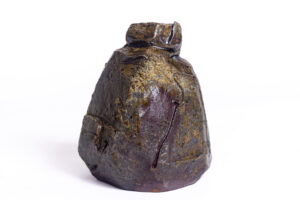 Indrani Singh Cassime, Rocks XI