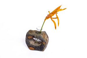 Indrani Singh Cassime, Vase Test Tube Form II