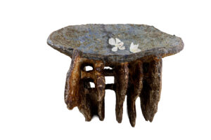 Indrani Singh Cassime, Coral Console