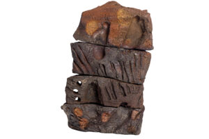 Indrani Singh Cassime, Native Series, Going Up