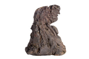 Indrani Singh Cassime, Native Series, Bird I