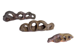 Indrani Singh Cassime, Caves