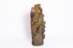 Indrani Singh Cassime, Native Series, Tree Trunk